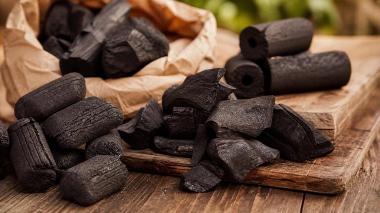 Melhor carvão para churrasco: guia completo - Um churras - Imagem gerada por IA